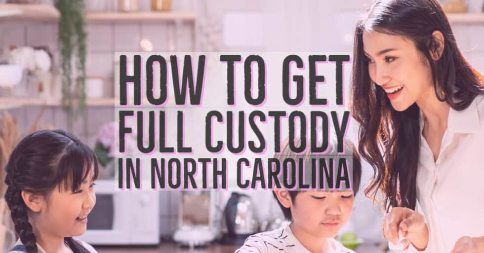 how-to-get-full-custody-of-a-child-in-illinois-editable-how-to-file-for-full-custody-in